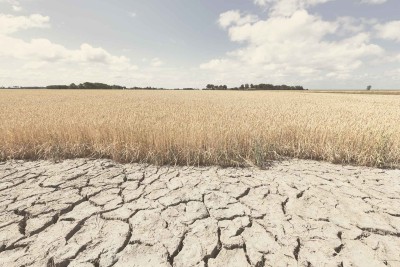 Impact of global warming on agricultural production